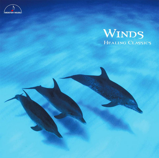 掏出来鸡巴插屄
